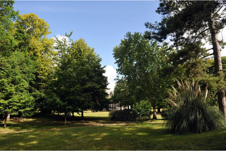 🌳Allier sécurité aérienne et ambition environnementale.